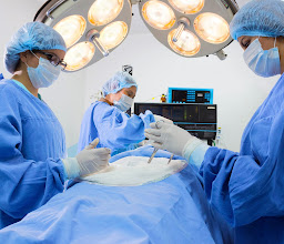 Fronteras Unidas Pro Salud, A. C. photo