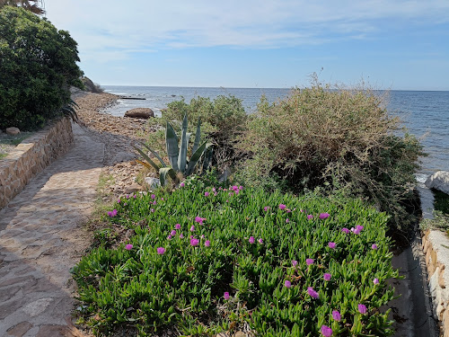 attractions food advisor’s Tide pool Saint-Mandrier-sur-Mer