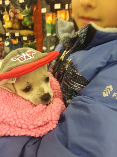 Pet Supply Store «Petco Animal Supplies», reviews and photos, 1660 Orchard Gateway Blvd, North Aurora, IL 60542, USA
