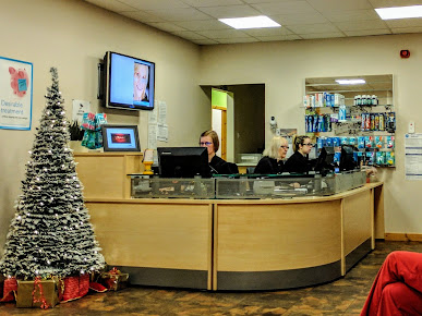 عيادة غراندهولم لطب الأسنان - Grandholm Dental Clinic