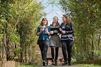 Kent Music - Photo 4 - Car repair in Ashford, United Kingdom, San Juan