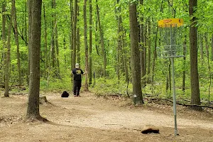 Alcyon Woods Disc Golf Course image