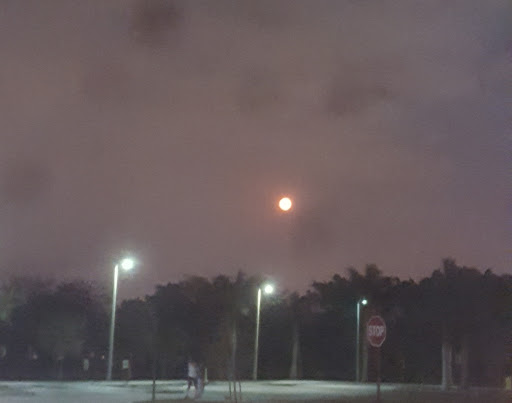 Park «Vizcaya Park», reviews and photos, 14200 SW 55th St, Miramar, FL 33027, USA