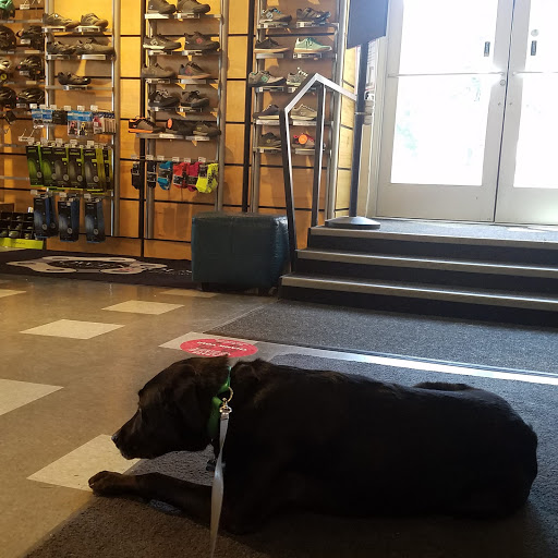 Bicycle Store «Owenhouse Cycling», reviews and photos, 25 S Black Ave, Bozeman, MT 59715, USA