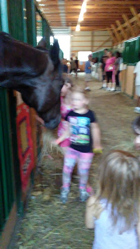 Museum «Marshall County Historical», reviews and photos, 808 E Johnson Ave, Warren, MN 56762, USA