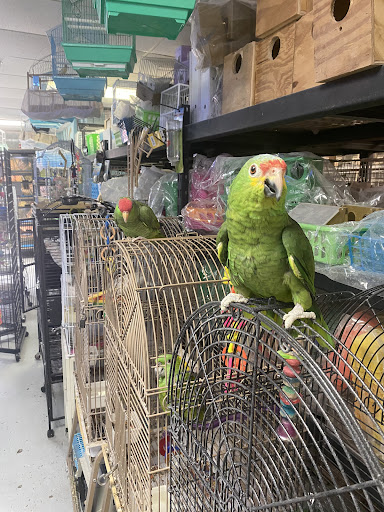 La Jungla Pet Shop