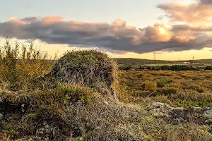 Heiðmörk image