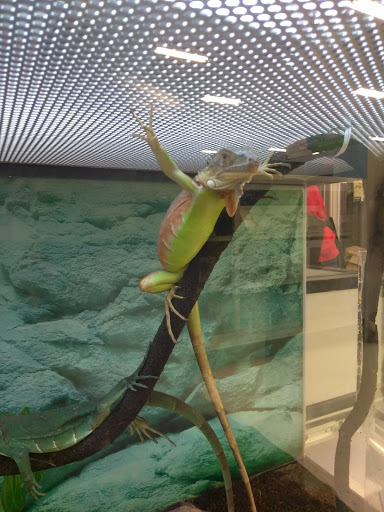 Petco image