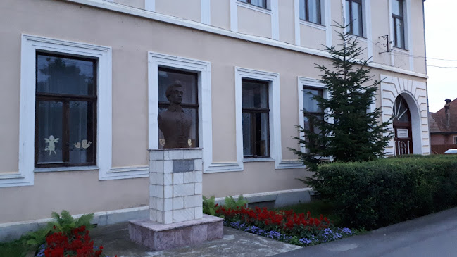 Școala Gimnazială Petőfi Sándor - <nil>