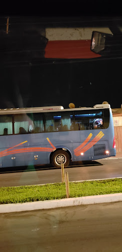 Opiniones de Buses Biaggini en Antofagasta - Servicio de transporte
