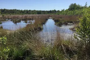 Haaksbergerveen image