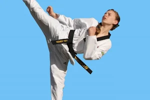Pinnacle Taekwondo Martial Arts in Marrickville for kids, teens and adults image