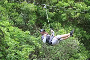 Jungle Top Adventures Zipline image