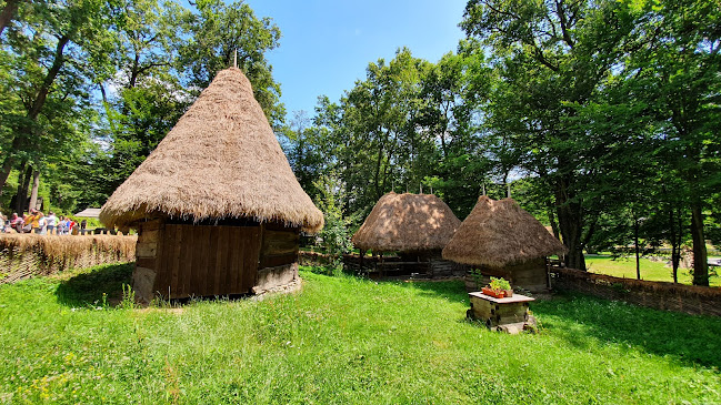 Opinii despre Parcul Natural Dumbrava Sibiului în <nil> - Muzeu