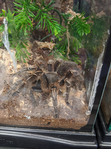 Pet Store «Pet Central», reviews and photos, 1200 Smallhouse Rd, Bowling Green, KY 42104, USA