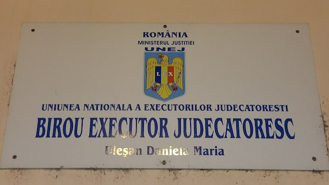 Uleșan Daniela - Executor Judecătoresc