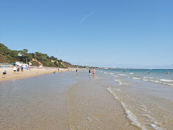 Photo de Plage de Branksome avec un niveau de propreté de très propre