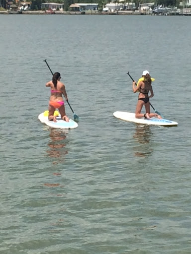 Surf Shop «Shoreline Surf & Skate Shop», reviews and photos, 17725 Gulf Blvd, Redington Shores, FL 33708, USA