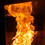 Photo n°1 de l'avis de Alessio.u fait le 01/03/2018 à 10:49 sur le  Ristorante La Tana Del Lupo à Albaneto