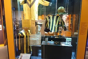 Wolves Museum image