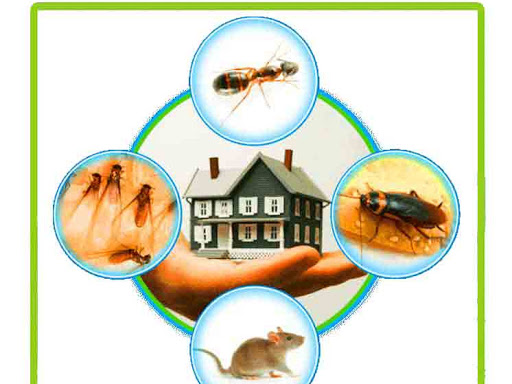 PCS(Pest Control Service)