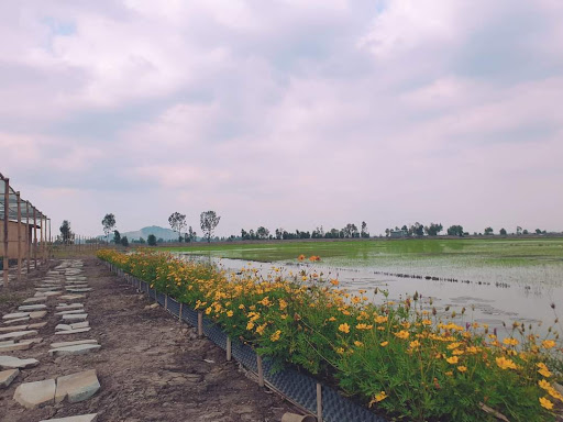 Top 20 cửa hàng speedo Huyện Hòn Đất Kiên Giang 2022