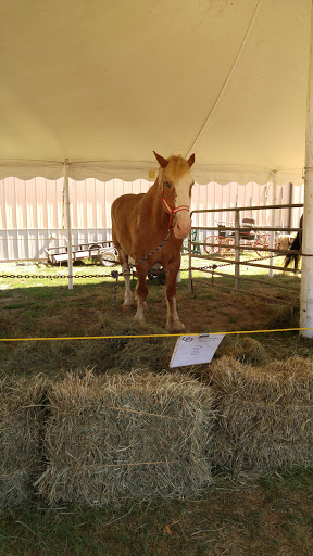 Community Center «High Plains Community Center», reviews and photos, 525 Orange Center Rd, Orange, CT 06477, USA