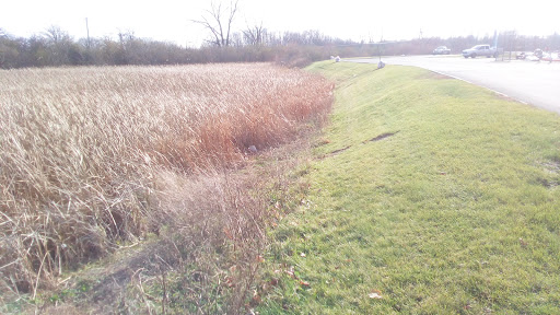 Home Improvement Store «HOBO- Home Owners Bargain Outlet», reviews and photos, 2650 Belvidere Rd, Waukegan, IL 60085, USA