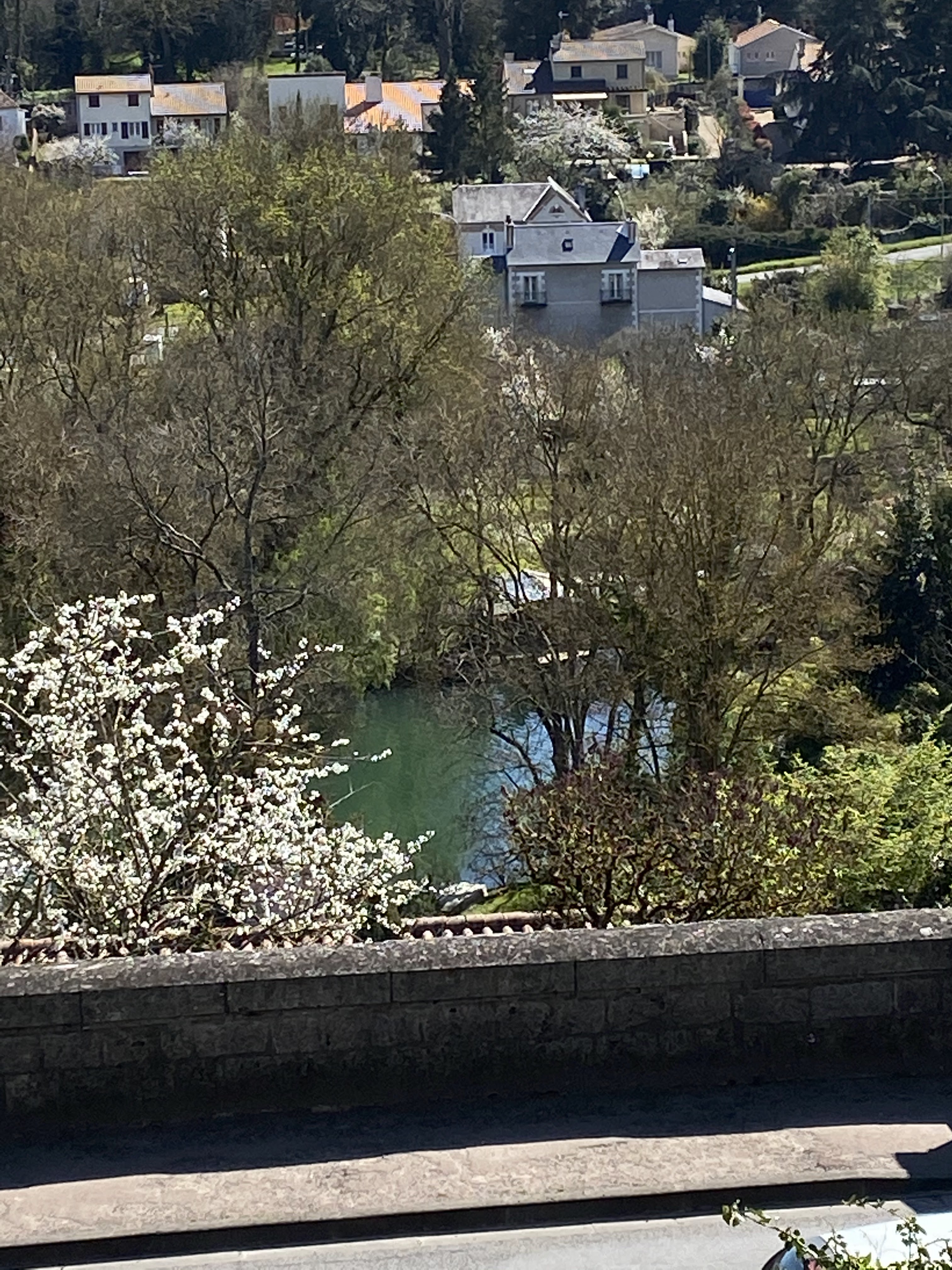 Photo n° 1 de l'avis de Marylène.u fait le 22/03/2022 à 17:15