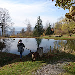 Photo n°4 de l'avis de Enrico.a fait le 01/12/2019 à 12:31 sur le  GutsAlm Harlachberg à Bodenmais