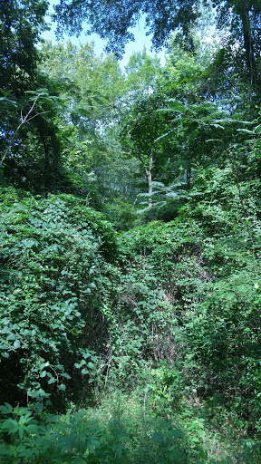 Hotel «Hilton Garden Inn Tyler», reviews and photos, 220 E Grande Blvd, Tyler, TX 75703, USA