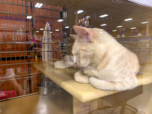 Pet Supply Store «PetSmart», reviews and photos, 3610 Rosecrans St, San Diego, CA 92110, USA