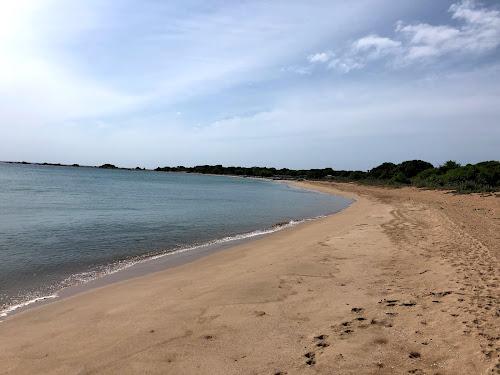 Kuchchaveli Beach III photo #2