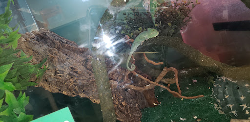 Pet Supply Store «Pet Supplies Plus», reviews and photos, 175 Memorial Ave, West Springfield, MA 01089, USA