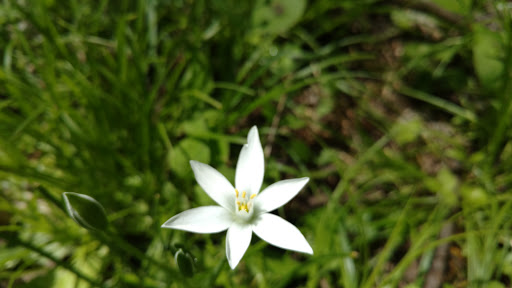 State Park «Brezina Woods», reviews and photos, N La Grange Rd, La Grange Park, IL 60526, USA