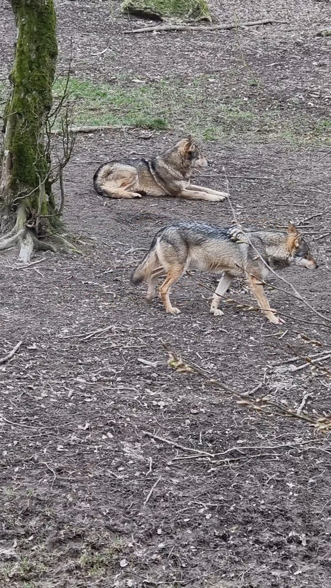 Photo n° 41 de l'avis de percque.a fait le 12/03/2023 à 16:11
