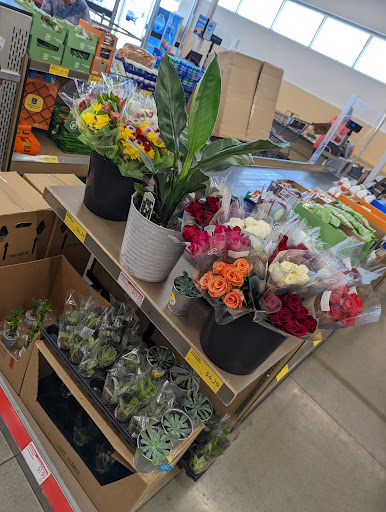 Grocery Store «ALDI», reviews and photos, 5156 Hinkleville Rd, Paducah, KY 42001, USA