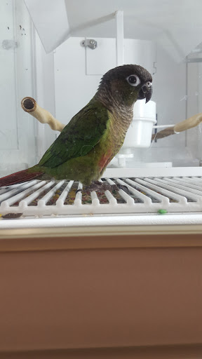 Pet Supply Store «Petco Animal Supplies», reviews and photos, 280 Kensington Blvd, Slidell, LA 70458, USA