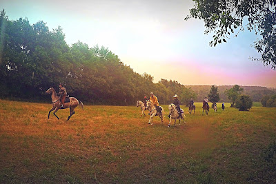 Le Ranch des Grands Soleils à Pommeuse