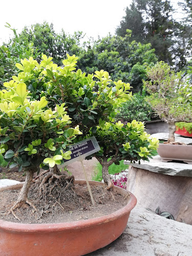 Jardín Botánico Yachay - Centro de jardinería