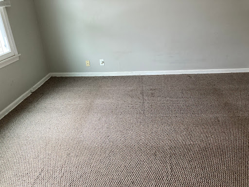 Carpet cleaning service Flint
