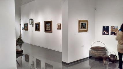 Museo de Bellas Artes Octavio de la Colina