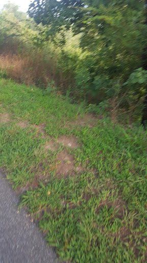 Museum «Southern Museum of Civil War and Locomotive History», reviews and photos, 2829 Cherokee St NW, Kennesaw, GA 30144, USA