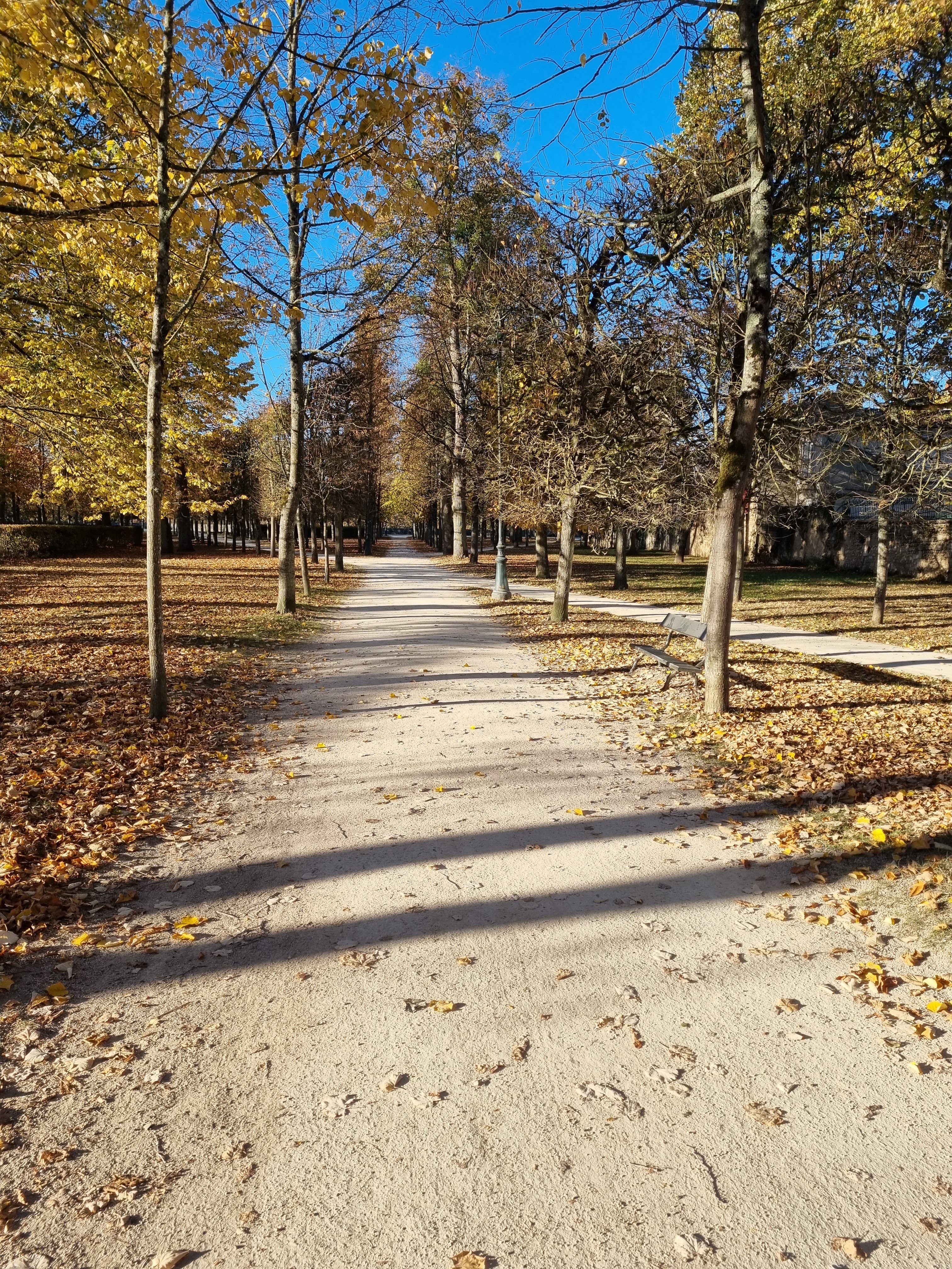Photo n° 1 de l'avis de Angélique.R fait le 01/11/2021 à 10:27