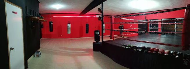 Alpha Boxing Club Reynosa