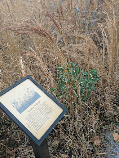 Nature Preserve «Blue Heron Nature Preserve», reviews and photos, 4055 Roswell Rd NE, Atlanta, GA 30342, USA