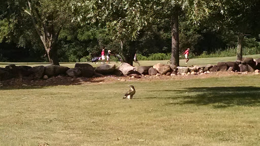 Golf Course Orchards Golf Course reviews and photos 137 Kozlowski