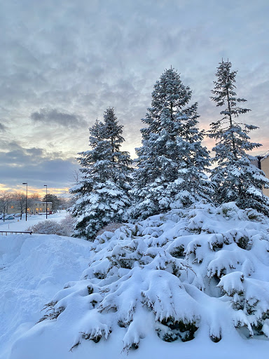 University «Rochester Institute of Technology», reviews and photos