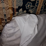 Photo n°11 de l'avis de Digital.o fait le 26/02/2023 à 17:31 sur le  Hotel Gale à Lido di Camaiore