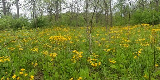 Nature Preserve «Burns-Stokes Preserve», reviews and photos, Zeeb Rd, Dexter, MI 48130, USA